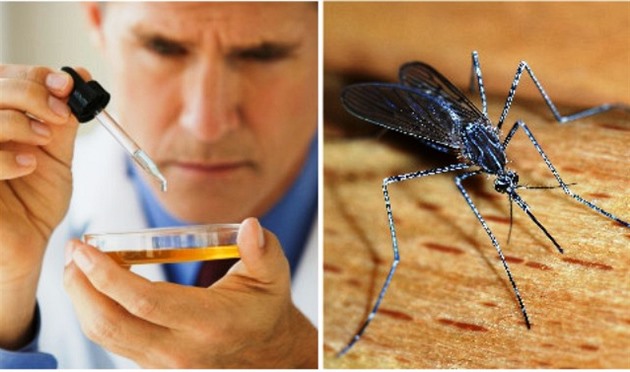 Jak se zbavíme viru zika?