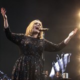 Publikum doslova vřískalo nadšením, když Adele vytáhla své hlasivky až do...
