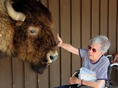 Norma si bhem cesty udlala spoustu zajímavých pátel - teba tohohle bizona.