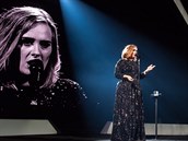 Adele svým výstupem jednu z  fanynek dojala natolik, e za ní vyplhala na...