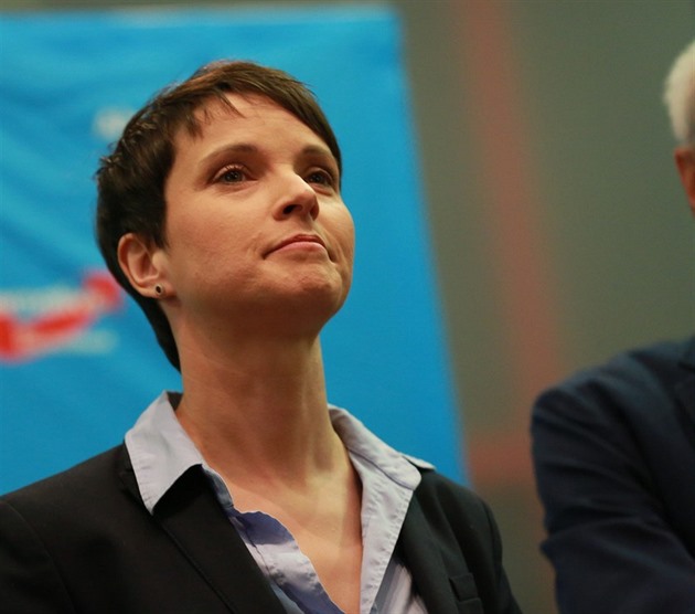 Alternativu pro Nmecko (AfD) vede Frauke Petry.