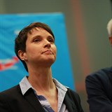 Alternativu pro Německo (AfD) vede Frauke Petry.