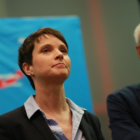 Alternativu pro Nmecko (AfD) vede Frauke Petry.