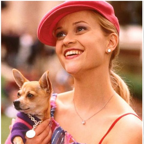 Fanouci Prav blondnky spolu s Reese Witherspoon truchl. Do psho nebe toti...