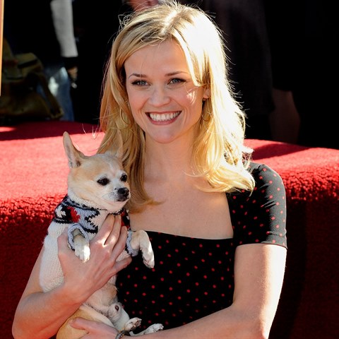 ivava Reese doprovodila v roce 2010 dokonce i na hollywoodsk chodnk slvy.