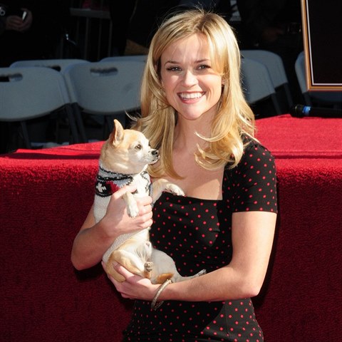 ivava Reese doprovodila v roce 2010 dokonce i na hollywoodsk chodnk slvy.