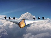 Dopravní letadlo budoucnosti by mlo co nejvíce pipomínat elegantního ptáka.