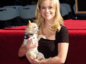 ivava Reese doprovodila v roce 2010 dokonce i na hollywoodský chodník slávy.