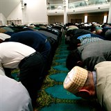 Modlitba v mešitě - ilustrační foto.