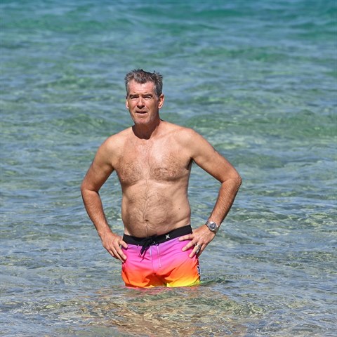 Brosnan a jeho pandro. Kam dal lednovou formu?