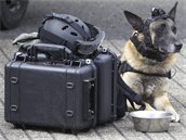 Kvli hrozb bombových útok dolo i k nasazení speciálních pyrotechnických ps.