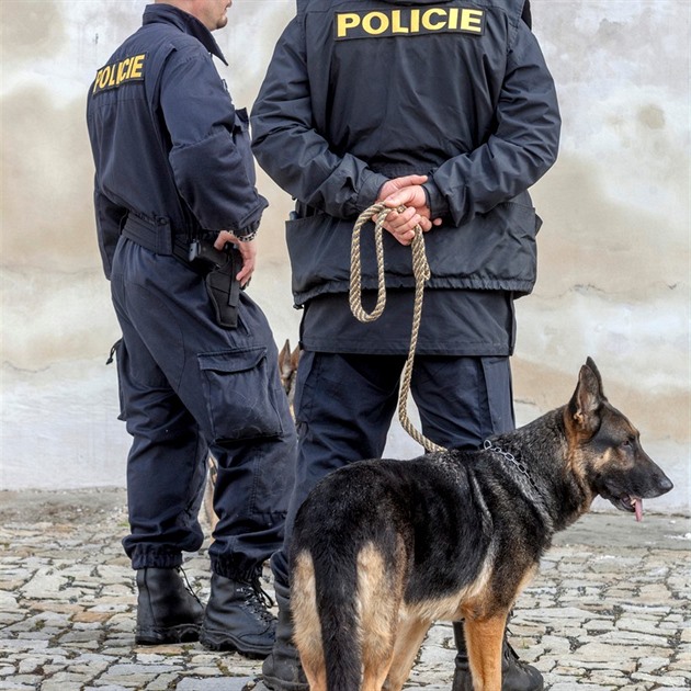 Policejní pes Alpin nezvládl výcvik a policie se ho zbavuje. Za 6 tisíc me...