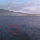 Fotografie, která má údajně zachycovat Nessieny hrby čouhající z vody.