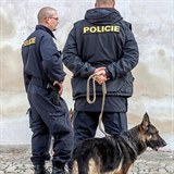 Policejn pes Alpin nezvldl vcvik a policie se ho zbavuje. Za 6 tisc me...