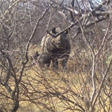 Pří svém putování deštným pralesem se střetl čelem i s nosorožci.