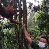 Leo se v pralese setkal s orangutany. Živočišným druhem, kterému hrozí vyhynutí.