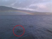 Fotografie, která má údajn zachycovat Nessieny hrby ouhající z vody.