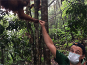 Leo se v pralese setkal s orangutany. ivoiným druhem, kterému hrozí vyhynutí.