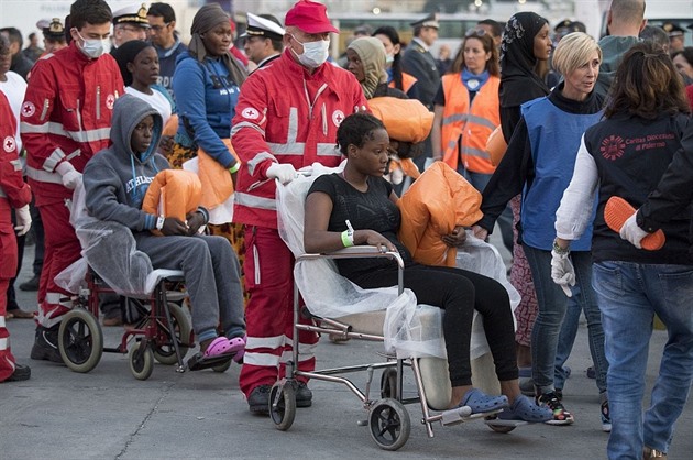 Humanitrn pracovnci ervenho ke i dobrovolnickch organizac peuj o...