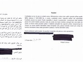 Tenhle dokument v arabtin a etin podepsali uprchlíci za pítomnosti...