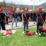 Na Dakův pohřeb dorazili i ostatní záchranářští psi.