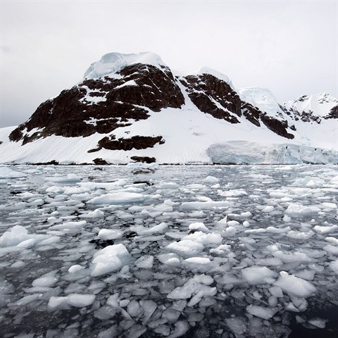 Planeta se otepluje, co zapiuje tn ledovc.
