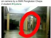 Fotka, která obletla internet. Skuten malajsijské koly obchází zlý duch?