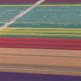 Pr dn star leteck zbry tulipnovch pol na zpad Nmecka. Odsud se vyvej do Francie, Rakouska a vcarska.