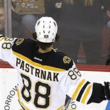 David Pastrk hraje NHL od osmncti let.