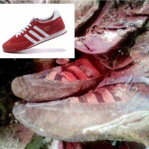 Ztratil tuhle tenisku n�jak� cestovatel v �ase?