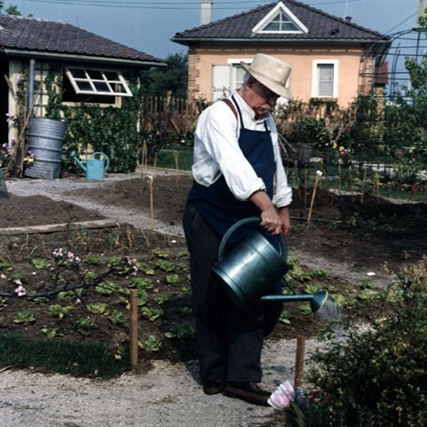 Zahradnien e je pro holky? Jako vedouc zahradnk jen rozdvte koly a mte...