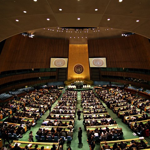 OSN je asi nejdleitj mezinrodn organizac na svt. Sdruuje 193 stt a...