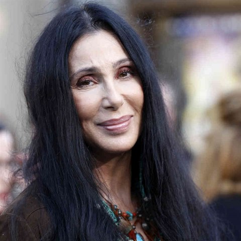 Cher se narodila jako Cherilyn Sarkarsian La Pier.