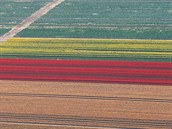 Pár dní staré letecké zábry tulipánových polí na západ Nmecka. Odsud se...