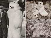 Záhadného medvda na nmeckých fotografiích objevil sbratel historických fotek.