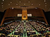 OSN je asi nejdleitjí mezinárodní organizací na svt. Sdruuje 193 stát a...