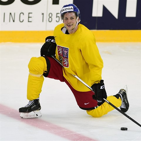 Radek Faksa dopnil tm jako posledn posila z NHL.