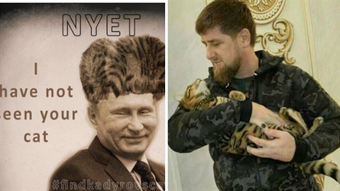 Hledá se Kadyrova koka.