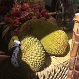 Durian aneb Ochutnat, nečichat!