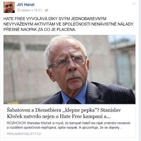 Do problm se Hanzl dostal pot, co na Facebooku zaal kritizovat HateFree...