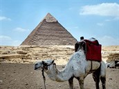 Osamlý velbloud eká na turistu, kterého bude moci odvézt k pyramid. Zatím se...