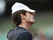 Andy Murray zaal duel se Radkem tpánkem píern.
