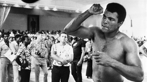 Zemel Muhammad Ali.