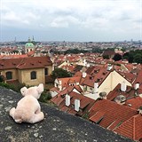 Travel Piggy v Praze.