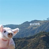 Travel Piggy v Hollywoodu.