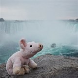 Travel Piggy u Niagarskch vodopd.