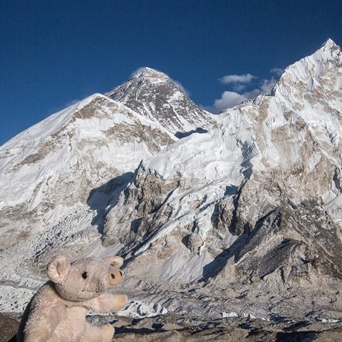 Travel Piggy u Mount Everestu.