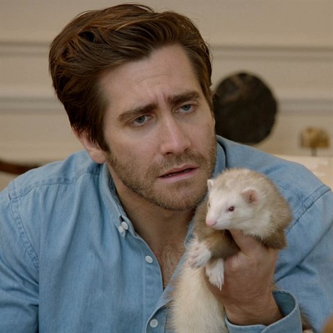 Jake Gyllenhaal