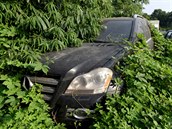 Nkterá auta na parkoviti stojí tak dlouho, e dokonce obrostla plevelem,...