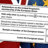 Nesouhlas s Brexitem je popenm demokracie. O setrvn v Unii si rozhodnou...
